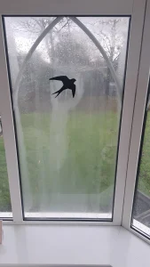 Window replacement with shallow bird decal